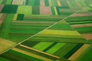 patchwork_fields